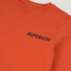 Coupon 👏 TOM TAILOR Sweatshirt »Sweatshirt mit Schriftzug« Blue lolite-blue, Tigerlily-orange, 👗 Dress blue-blue 🔔