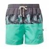Bester Verkauf ⭐ TOM TAILOR Badeshorts »Badehose mit Blockstreifen« Anthra, Green ⭐