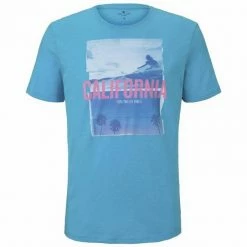 Beste Bewertungen von ⌛ TOM TAILOR Poloshirt »t-shirt with photo p« 20000, 22091 ⌛